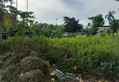 Lô Đất Vàng Gần Quốc Lộ 10 - Sống Đỉnh, Tận Hưởng Tiện Ích Xung Quanh... Bán đất tại Hồng An, Hải Phòng 02