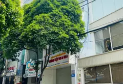 Bán nhà mặt tiền 3 tầng(4.1mx12m), gần sân bay, phường Tân Sơn Nhất, Tân Bình... Bán nhà mặt phố tại Tân Sơn Nhất, Hồ Chí Minh 02