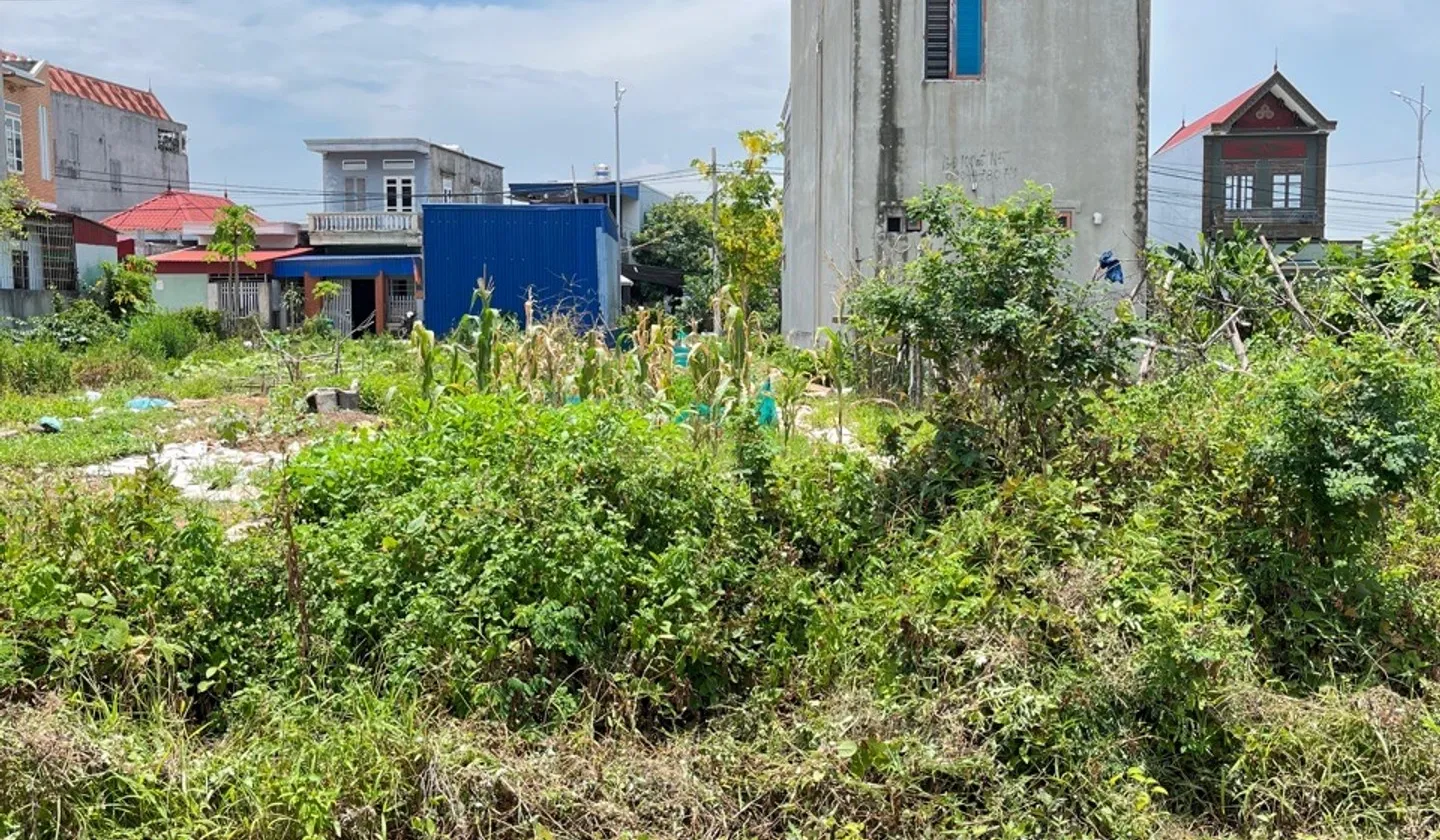 Lô đất đẹp 100m² tại thôn Đường Đá, xã Hoa Động, Thủy Nguyên... Bán đất tại Thủy Nguyên, Hải Phòng 01