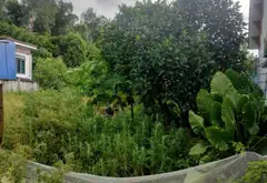 Cơ hội vàng sở hữu đất phân lô Thủy Nguyên vị trí đẹp, tiềm năng tăng giá cao... Bán đất tại Lê Ích Mộc, Hải Phòng 05