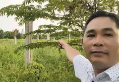 Đất Vàng Khu Đô Thị 30ha VLB - Cơ Hội Đầu Tư Hot... Bán đất tại Tân Vĩnh Lộc, Hồ Chí Minh 11