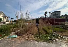 Đất nền tiềm năng tại Đoạn Xá 2 gần cảng nội địa, thuận tiện giao thông... Bán đất tại Kiến Hải, Hải Phòng 01