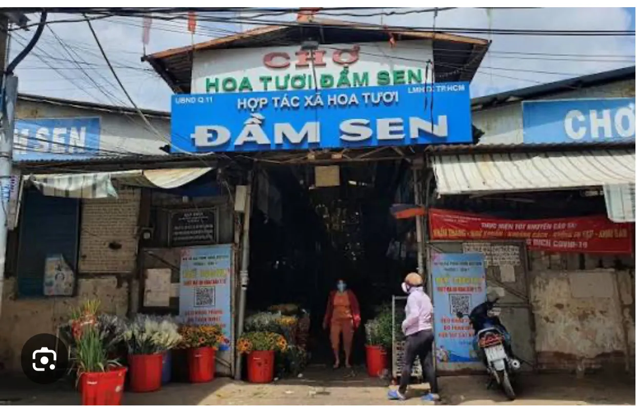 B.án Nh.à gần chợ hoa Đầm Sen - THCS Lê Quý Đôn - DT: 40m2 - Hẻm 6m thông - nhỉnh 3 tỉ - 2 tầng
ZL... Bán nhà riêng tại Tân Phú, Hồ Chí Minh 01