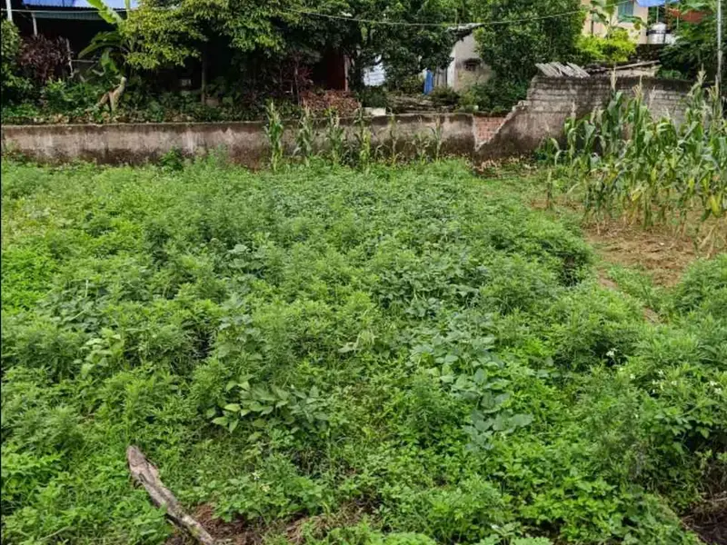 Lô đất mặt ngõ rộng, tiện ích đầy đủ tại Quảng Thanh 4 - Lê Ích Mộc... Bán đất tại Lê Ích Mộc, Hải Phòng 01