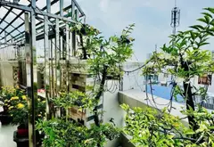 Siêu phẩm nhà riêng căn góc với thang máy giữa lòng Quận 8 đẳng cấp... Bán nhà riêng tại Bình Đông, Hồ Chí Minh 02