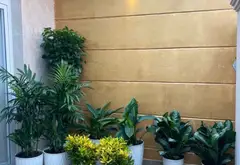 Cơ Hội Vàng Sở Hữu Nhà Riêng Sân Rộng Hẻm Xe Hơi Trên Lê Văn Lương... Bán nhà riêng tại Hiệp Phước, Hồ Chí Minh 05
