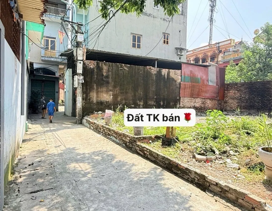 Cơ hội sở hữu đất vàng Từ Sơn Bắc Ninh, ô tô vào tận nơi, giá hợp lý... Bán đất tại Từ Sơn, Bắc Ninh 01