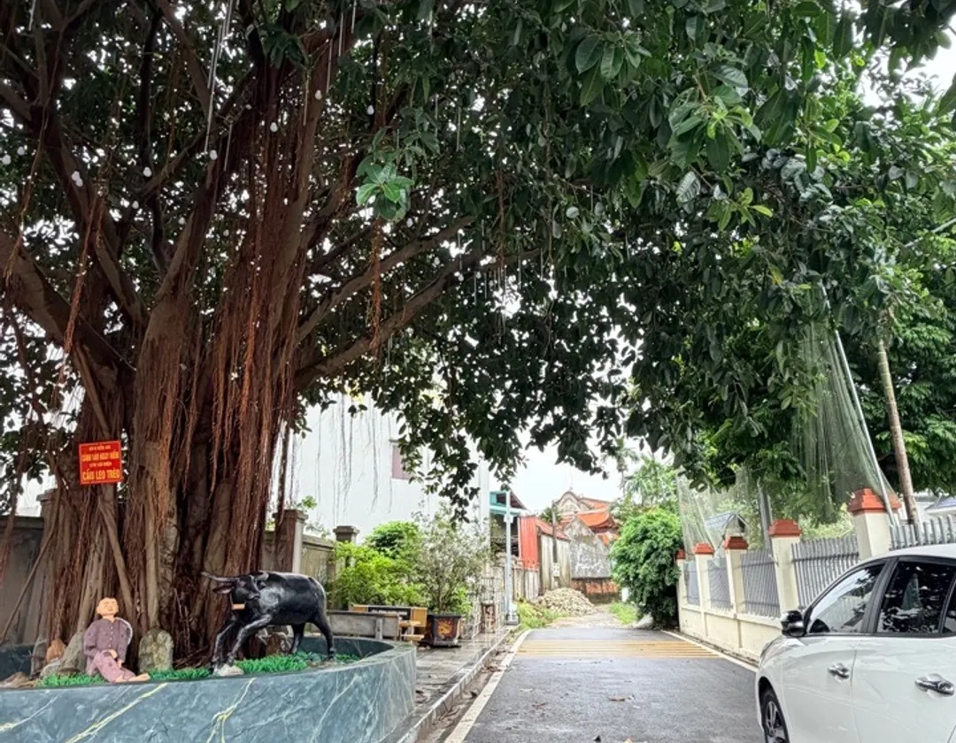 Bán đất 87,9m2 tại xã Văn Giang, Hưng Yên giá 3,3 tỷ... Bán đất tại Văn Giang, Hưng Yên 01