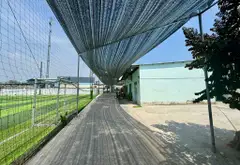 Siêu phẩm gần 3600m2 mặt tiền rộng, lợi nhuận trên 100tr/tháng... Bán nhà riêng tại Tân Nhựt, Hồ Chí Minh 10