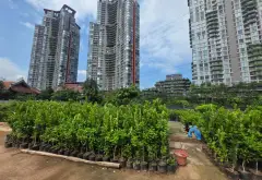 Bán đất lô góc 3 mặt thoáng tại Phụng Công Ecopark... Bán đất tại Phụng Công, Hưng Yên 05