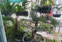 Nhà đẹp 3 tầng, khu VIP Tân Bình, giá siêu hấp dẫn... Bán nhà riêng tại Tân Bình, Hồ Chí Minh 08