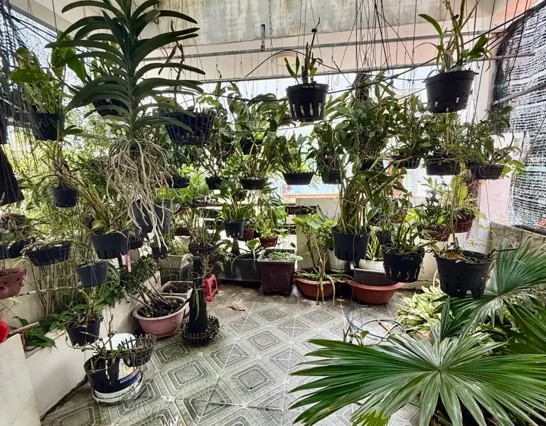 Nhà mặt phố 4 tầng diện tích 69.3m² tại quận 6 giá 11.9 tỷ... Bán nhà mặt phố tại Bình Phú, Hồ Chí Minh 01