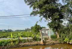 Bán đất 3839m2 mặt tiền 25m đường nhựa tại Bình Chánh... Bán đất tại Bình Lợi, Hồ Chí Minh 02