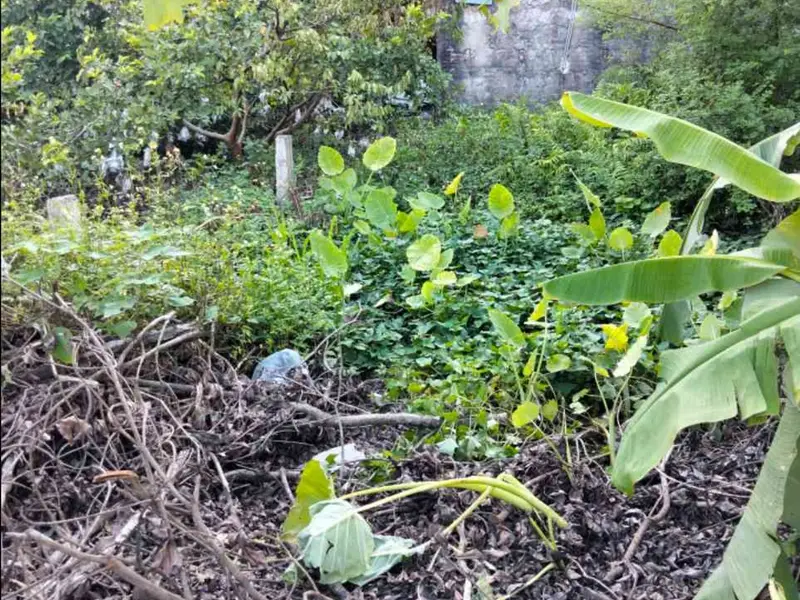 Bán đất phường Yên Nghĩa, Hà Đông, diện tích 45m2, pháp lý rõ ràng, giá tốt... Bán đất tại Yên Nghĩa, Hà Nội 01