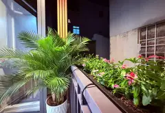 Nhà xinh 3 tầng hẻm Nguyễn Thượng Hiền, giá sốc 4.9 tỷ... Bán nhà riêng tại Bàn Cờ, Hồ Chí Minh 08