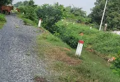 Bán nhà mặt phố 295.8m2 tại Hóc Môn giá 8.3 tỷ... Bán nhà mặt phố tại Tân Sơn Nhì, Hồ Chí Minh 07