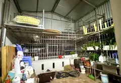 🔥🔥 SIÊU PHẨM PHÚ DIỄN – Ô TÔ TẢI TRÁNH – VỈA HÈ RỘNG – 7 TẦNG THANG MÁY – KINH DOANH ĐỈNH! 🔥🔥... Bán nhà riêng tại Tây Tựu, Hà Nội 14