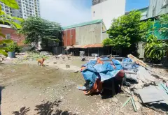 Siêu phẩm mặt phố Xuyên Á rộng hơn 1.000m2 giá hấp dẫn... Bán nhà mặt phố tại Dĩ An, Hồ Chí Minh 03