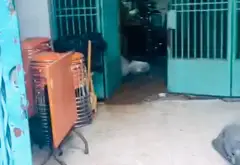 Bán nhà riêng 143m2 hẻm xe tải Phường Chánh Hưng Quận 8... Bán nhà riêng tại Chánh Hưng, Hồ Chí Minh 08