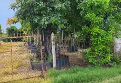 GIẢM CỰC SÂU 30 TỶ CÒN 30 TỶ: BÁN 5.839M² ĐẤT (250M² THỔ CƯ) PHAN VĂN HỚN, HÓC MÔN... Bán đất tại Bà Điểm, Hồ Chí Minh 11