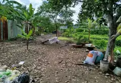 Cơ hội vàng sở hữu đất mặt tiền rộng lớn tại Bình Chánh với giá tốt... Bán đất tại Bình Chánh, Hồ Chí Minh 01