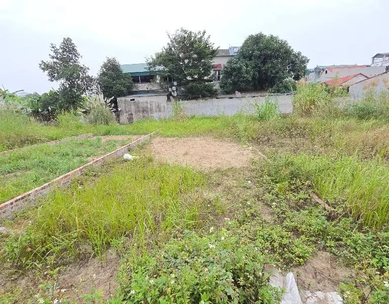 Biệt thự 1 tầng thoáng mát, Quang Minh Mê Linh... Bán biệt thự, liền kề tại Quang Minh, Hà Nội 01