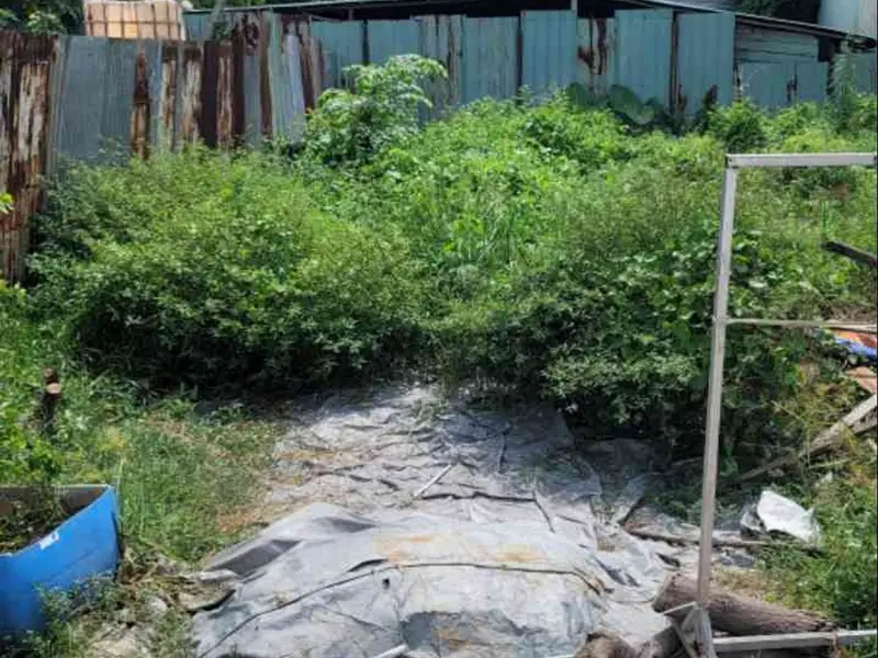 Đất mặt tiền Đông Thạnh, rộng 120m² giá ưu đãi... Bán đất tại Đông Thạnh, Hồ Chí Minh 01