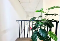 NHÀ KINH DƯƠNG VƯƠNG - CẠNH AEON MALL BÌNH TÂN - 122m2 - DÒNG TIỀN 28TR/THÁNG - GIÁ CHỈ 12,9 TỶ TL... Bán nhà riêng tại An Lạc, Hồ Chí Minh 10