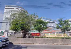 Bán đất xã Tân Nhựt, Hồ Chí Minh, diện tích 310 m² mặt tiền rộng 34 m... Bán đất tại Tân Nhựt, Hồ Chí Minh 14