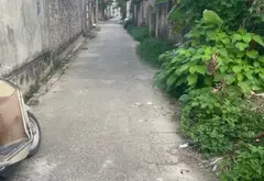 Cơ Hội Sở Hữu Đất Vàng Thôn Yên Ninh – Giá Tốt, Vị Trí Đẹp, Sẵn Sổ Đỏ... Bán đất tại Nội Bài, Hà Nội 06