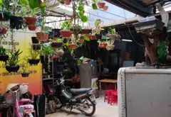 Bán nhà riêng trung tâm Ba Đình diện tích lớn 293m², pháp lý chuẩn... Bán nhà riêng tại Ngọc Hà, Hà Nội 02