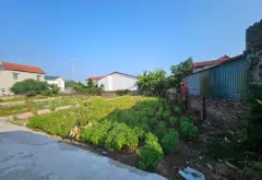 Lô đất vàng Văn Giang, cơ hội đầu tư cực hấp dẫn quán trạch AB.... Bán đất tại Văn Giang, Hưng Yên 01