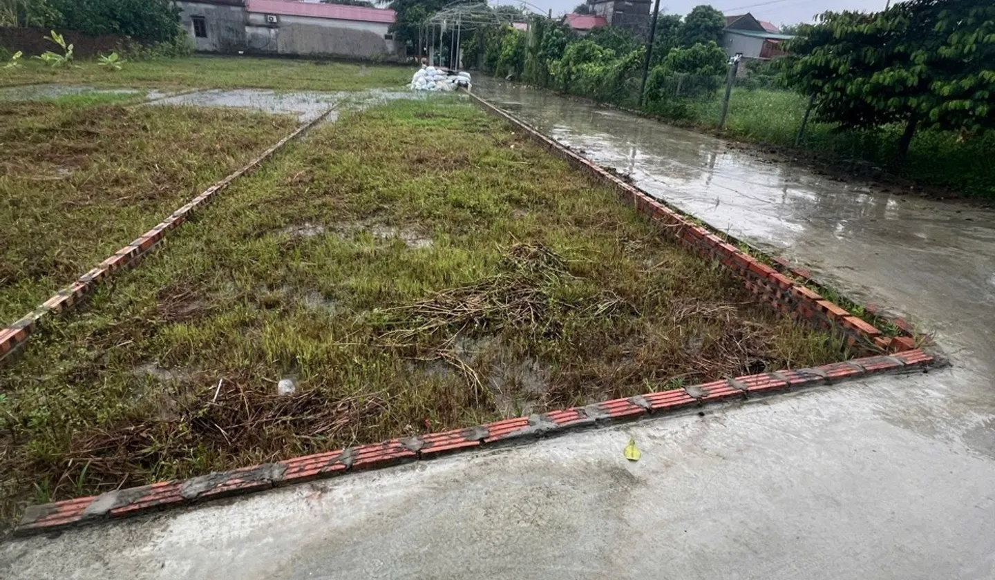 Cơ hội vàng sở hữu đất hai mặt tiền tại xã Trung Chính, Bắc Ninh... Bán đất tại Trung Chính, Bắc Ninh 01