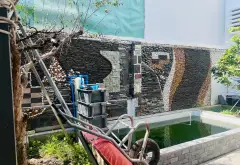 Biệt Thự Sang Trọng Kèm Dãy Trọ Thu Nhập Ổn Định Tại Quận 7... Bán nhà riêng tại Tân Thuận, Hồ Chí Minh 07
