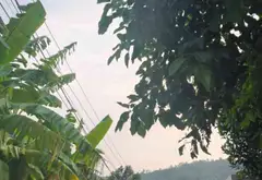 Cơ Hội Hiếm Có Sở Hữu Mảnh Đất Vàng Kèm Nhà Mộc Kiên Cố Tại Việt Khê, Thủy Nguyên... Bán đất tại Việt Khê, Hải Phòng 12
