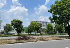 Giảm sốc 8.5 tỷ - Đất mặt tiền 6m, vị trí vàng Bình Chánh... Bán đất tại Bình Hưng, Hồ Chí Minh 06