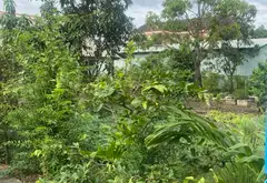 Bán nhà đất 1490m2 full thổ cư Nhơn Đức Nhà Bè, giá 27 tỷ... Bán nhà riêng tại Hiệp Phước, Hồ Chí Minh 02