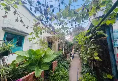 Nhà vườn rộng rãi tại Phường Dĩ An - Cơ hội sở hữu hiếm có... Bán nhà riêng tại Dĩ An, Hồ Chí Minh 06