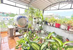 💥 BÁN GẤP GIẢM CHỈ CÒN 5.X TỶ - 3 TẦNG – HẺM XE TẢI THÔNG - GIÁP AEON TÂN PHÚ... Bán nhà riêng tại Bình Hưng Hòa, Hồ Chí Minh 04