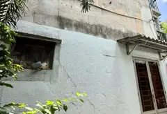 Nhà thật, hình ảnh thật, E Kiên nhà phố giá tốt ở HCM... Bán nhà riêng tại Thông Tây Hội, Hồ Chí Minh 02