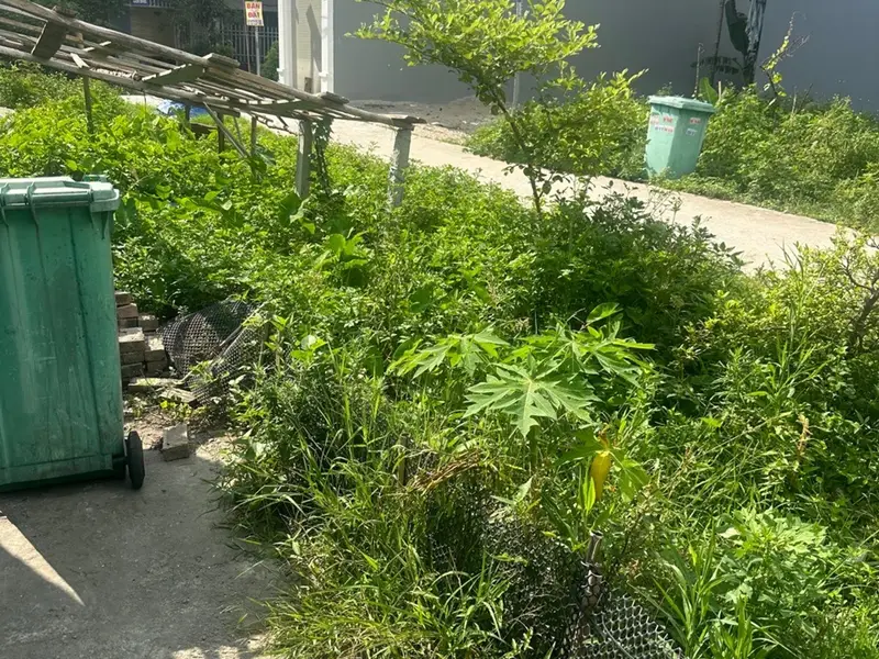 Lô góc siêu đẹp, ô tô đua nhau tránh, kinh doanh cực chất... Bán đất tại Hải An, Hải Phòng 01