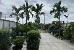 Biệt thự view sông sân vườn siêu rộng tại Bình Chánh... Bán nhà mặt phố tại Vĩnh Lộc, Hồ Chí Minh 17
