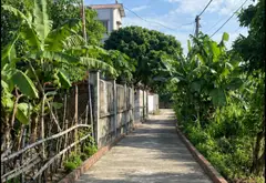 BÁN ĐẤT VÀNG TIỀM NĂNG TĂNG GIÁ CAO... Bán đất tại Lương Tài, Bắc Ninh 01