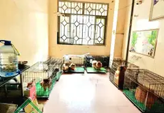 HXH 8M THÔNG – KHU VIP DÂN TRÍ CAO – NGANG 6M – GẦN 100M² (6 x 16) – NHÀ 4 TẦNG - 4PN - 4WC - 16 TỶ... Bán nhà mặt phố tại Phú Thọ Hòa, Hồ Chí Minh 07