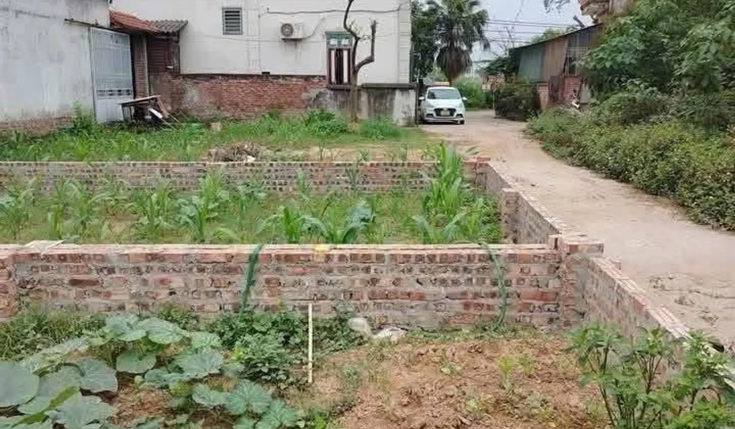 Bán đất 42,6m² mặt tiền 4,5m gần Vin Cổ Loa, khu dân cư ổn định, ô tô đỗ cửa... Bán đất tại Đông Anh, Hà Nội 01