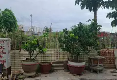 ĐẤT PHÂN LÔ GIA VIÊN - NGÔ QUYỀN 90M2 HƠN 7 TỶ GIÁ SIÊU TỐT... Bán đất tại Gia Viên, Hải Phòng 02
