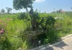 Bán đất phân lô tại thôn Lộc Xá, Đoàn Xá, Kiến Thụy với diện tích rộng, ô tô ra vào thuận tiện... Bán đất tại Kiến Hải, Hải Phòng 04