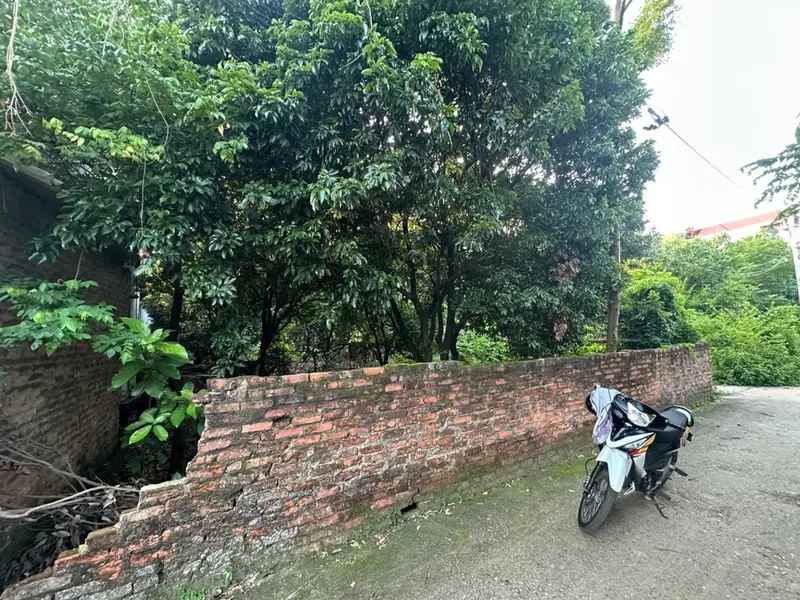 Bán đất thôn Phú Cường, xã Kim Anh, Hà Nội, diện tích 735m2... Bán đất tại Kim Anh, Hà Nội 01