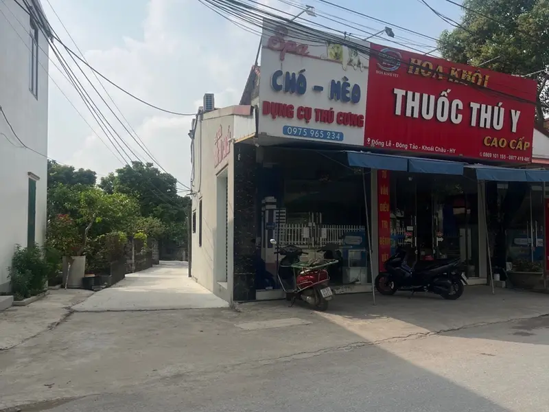 Đất Vàng Xã Hoàn Long - Tiềm Năng Đầu Tư Đỉnh Cao... Bán đất tại Hoàn Long, Hưng Yên 01