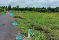 Bán đất vuông đẹp 500m2 mặt tiền 12m tại Cây Trôm - Mỹ Khánh, Củ Chi... Bán đất tại Thái Mỹ, Hồ Chí Minh 01